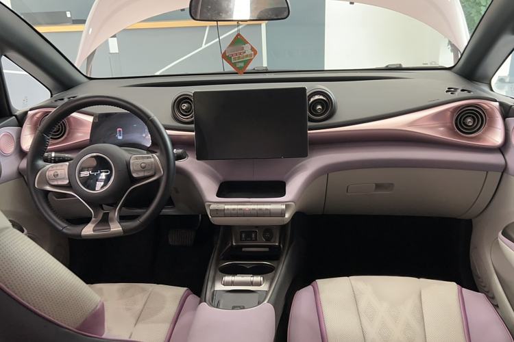 Used BYD Dolphin 2023 420 km Fashion Edition Center Console
