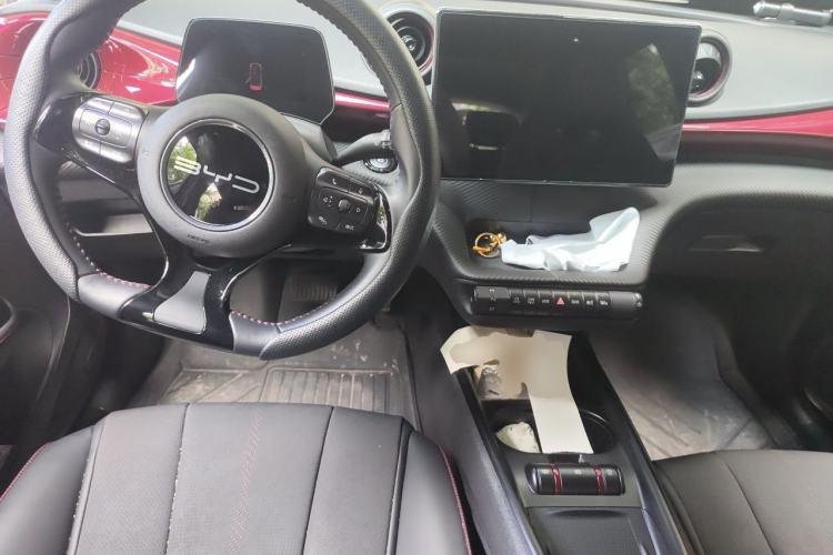 Used BYD Dolphin 2023 500 000th Anniversary Edition Pro Center Console