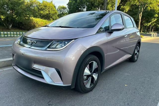 Used BYD Dolphin 2023 420 km Free Version