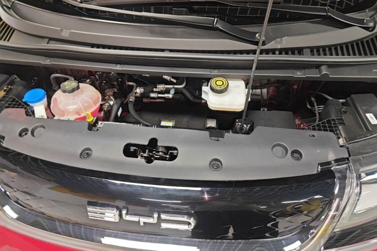 Used BYD Dolphin 2023 500 000th Anniversary Edition Plus Engine Bay