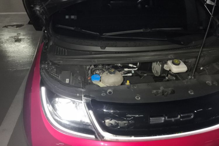 Used BYD Dolphin 2023 500 000th Anniversary Edition Pro Engine Bay Right