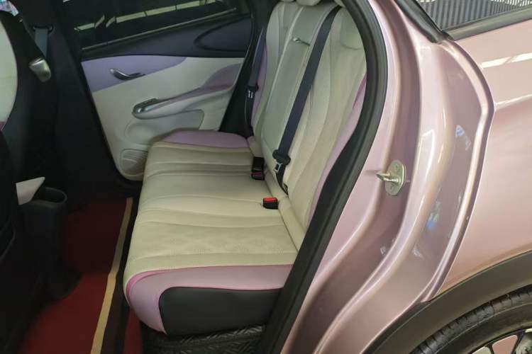 Used BYD Dolphin 2023 420 km Fashion Edition Headliner