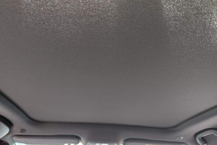 Used BYD Dolphin 2023 500 000th Anniversary Edition Plus Headliner