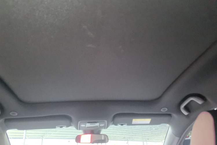 Used BYD Dolphin 2023 420 km Fashion Edition Headliner