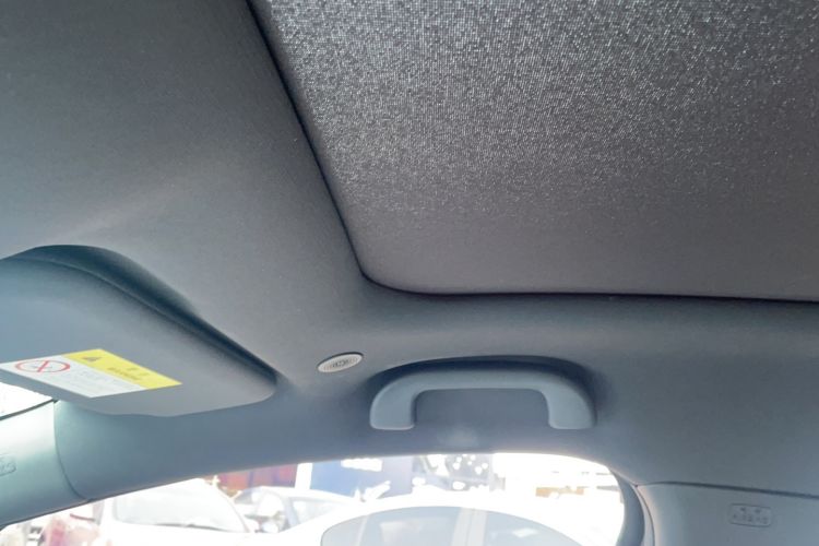 Used BYD Dolphin 2023 401km Knight Edition Headliner