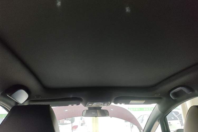 Used BYD Dolphin 2023 420 km Fashion Edition Headliner