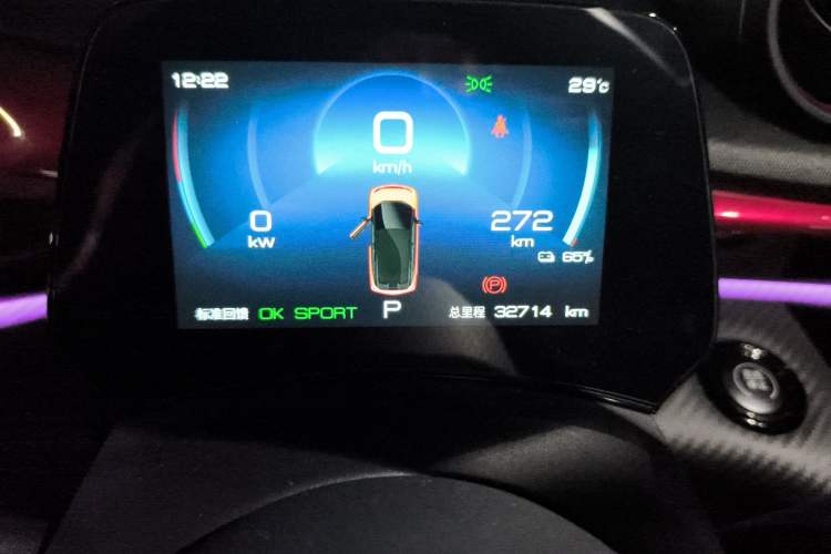 Used BYD Dolphin 2023 500 000th Anniversary Edition Pro Instrument Cluster