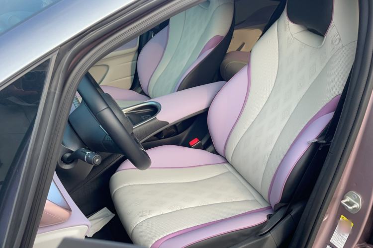 Used BYD Dolphin 2023 401km Knight Edition Left Front Seat