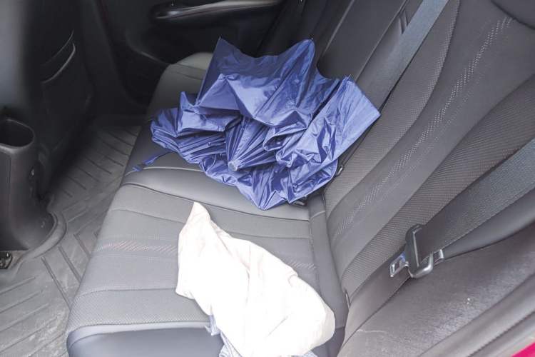 Used BYD Dolphin 2023 500 000th Anniversary Edition Pro Left Rear Seat