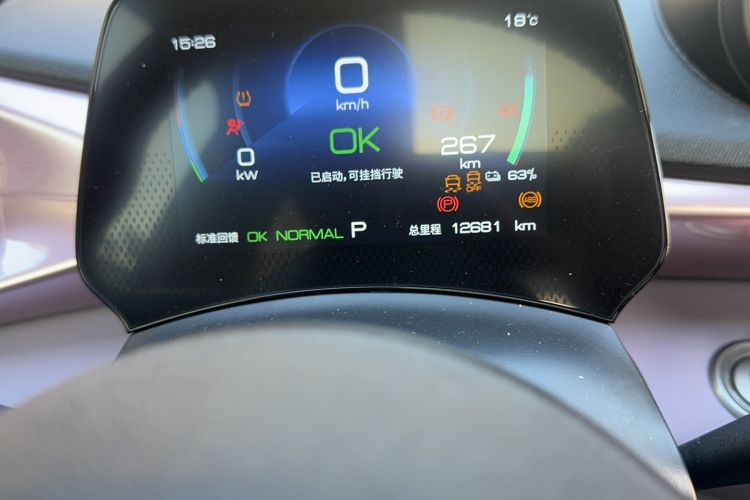 Used BYD Dolphin 2023 420 km Fashion Edition Odometer Close Up