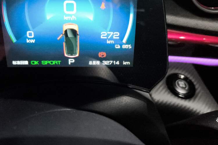 Used BYD Dolphin 2023 500 000th Anniversary Edition Pro Odometer Close Up