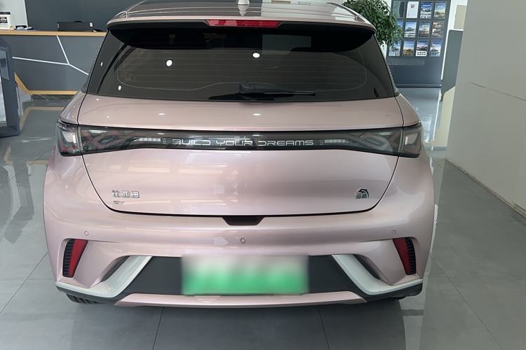 Used BYD Dolphin 2023 420 km Fashion Edition Rear