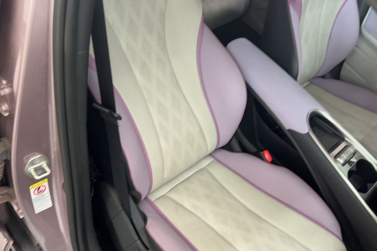 Used BYD Dolphin 2023 420 km Fashion Edition Right Front Seat