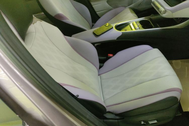 Used BYD Dolphin 2023 420 km Fashion Edition Right Front Seat