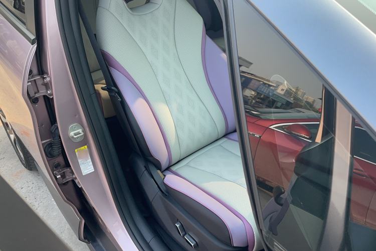 Used BYD Dolphin 2023 401km Knight Edition Right Front Seat