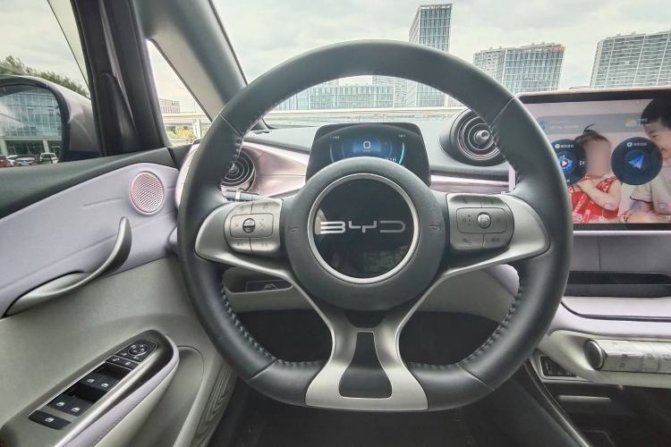 Used BYD Dolphin 2023 420 km Free Version Steering Wheel