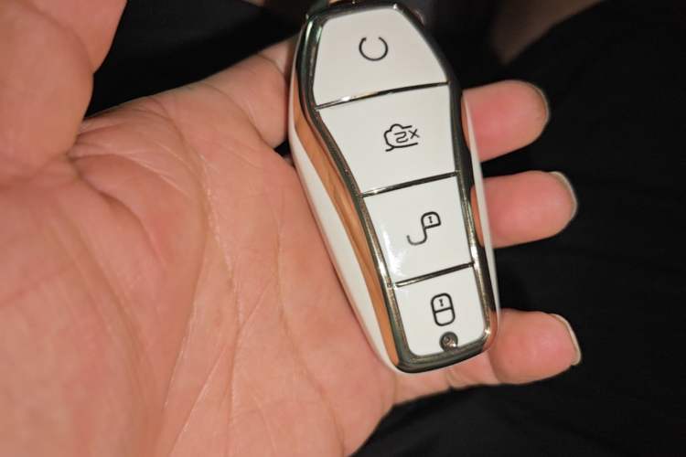 Used BYD Dolphin 2023 500 000th Anniversary Edition Plus Vehicle Key