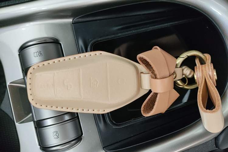 Used BYD Dolphin 2023 420 km Fashion Edition Vehicle Key