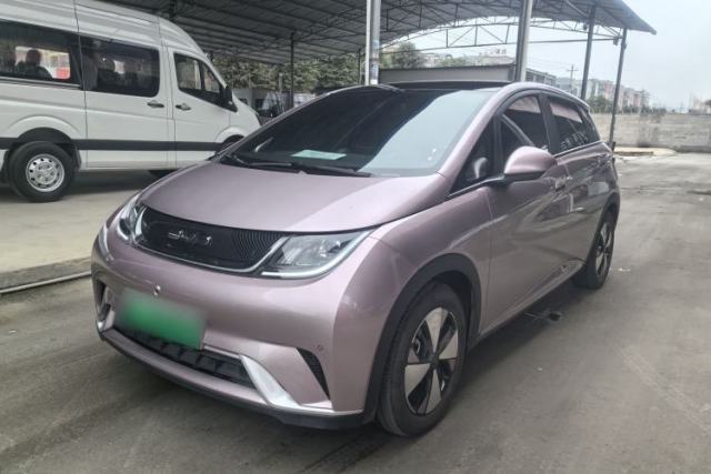 Used BYD Dolphin 2023 420 km Fashion Edition