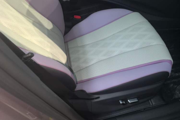 Used BYD Dolphin 2023 401km Knight Edition Right Front Seat