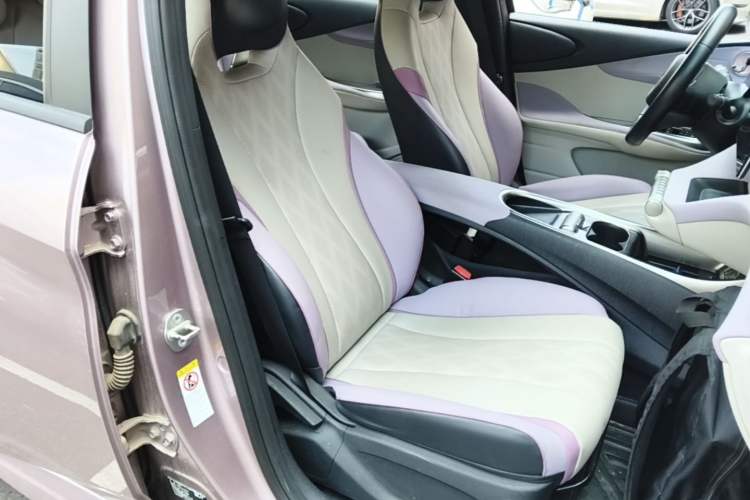 Used BYD Dolphin 2023 420 km Free Version Right Front Seat