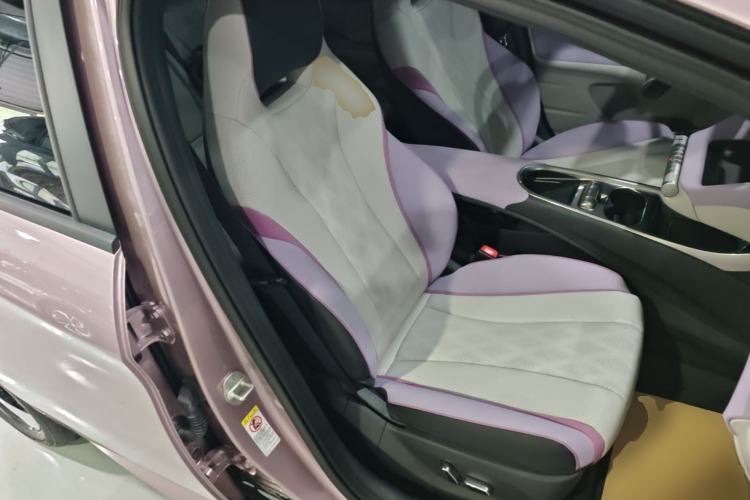 Used BYD Dolphin 2023 420 km Fashion Edition Right Front Seat