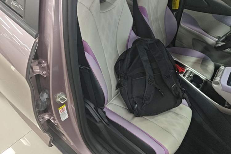 Used BYD Dolphin 2023 420 km Free Version Right Front Seat