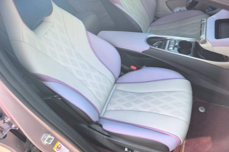 Used BYD Dolphin 2023 420 km Fashion Edition Right Front Seat