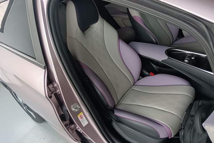 Used BYD Dolphin 2023 420 km Free Version Right Front Seat