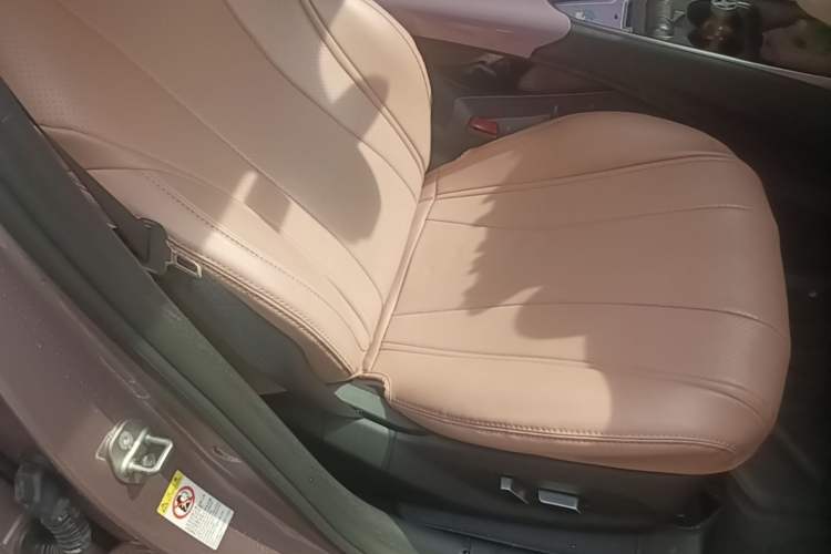 Used BYD Dolphin 2023 420 km Fashion Edition Right Front Seat