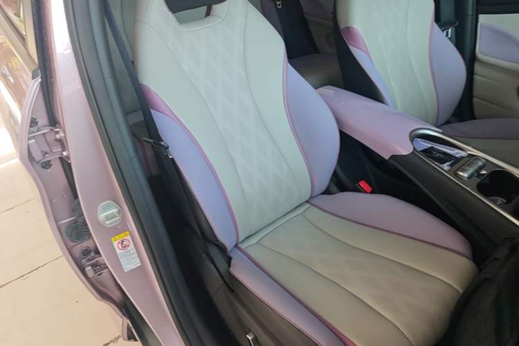 Used BYD Dolphin 2023 420 km Fashion Edition Right Front Seat