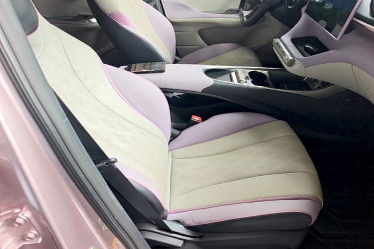 Used BYD Dolphin 2023 420 km Free Version Right Front Seat