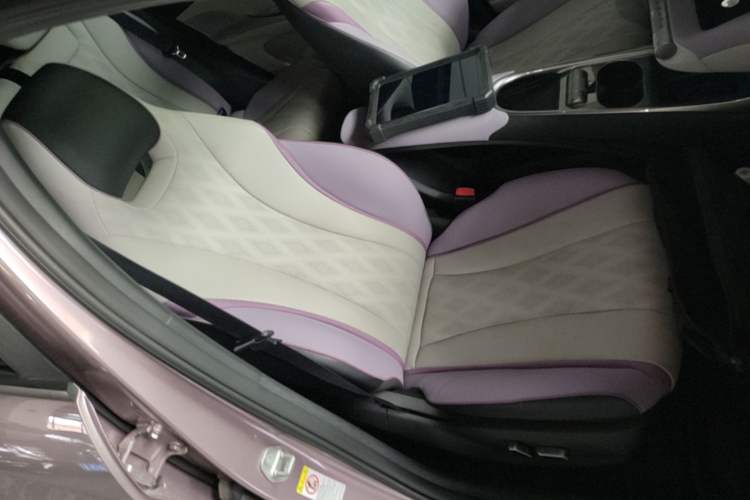 Used BYD Dolphin 2023 401km Knight Edition Right Front Seat