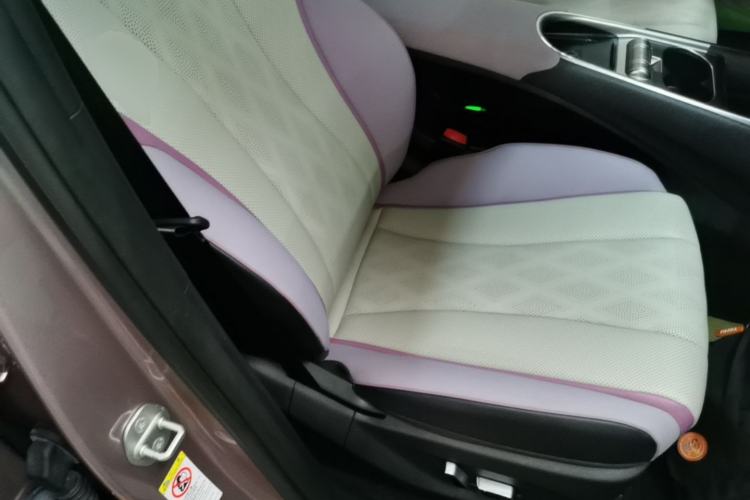 Used BYD Dolphin 2023 420 km Fashion Edition Right Front Seat