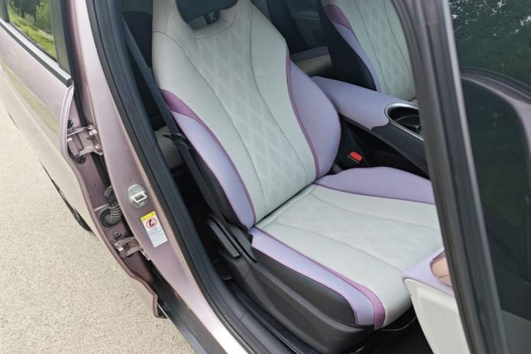 Used BYD Dolphin 2023 420 km Fashion Edition Right Front Seat