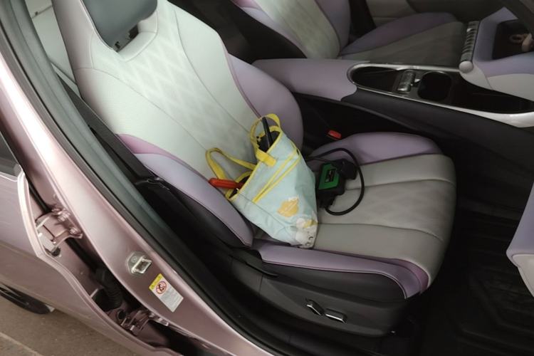 Used BYD Dolphin 2023 420 km Fashion Edition Right Front Seat