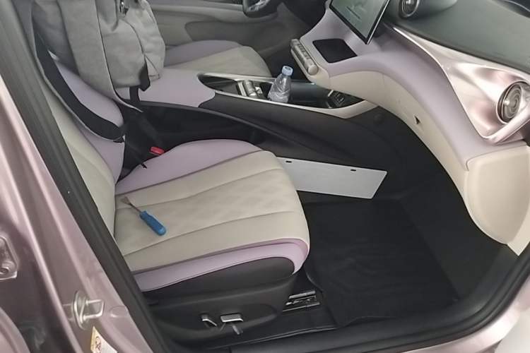 Used BYD Dolphin 2023 420 km Fashion Edition Right Front Seat