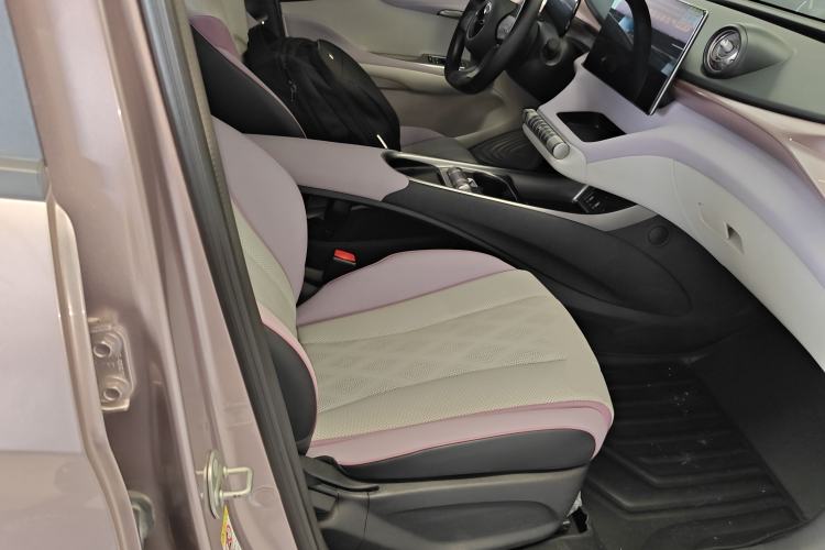 Used BYD Dolphin 2023 420 km Free Version Right Front Seat