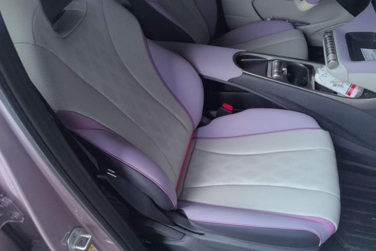 Used BYD Dolphin 2023 420 km Free Version Right Front Seat