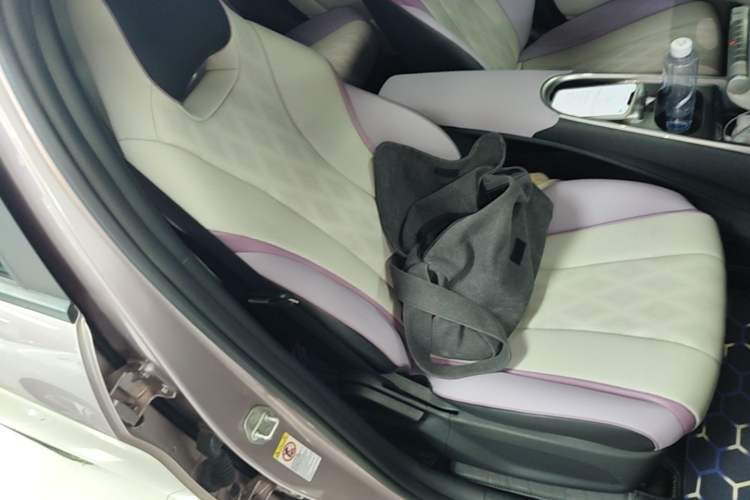 Used BYD Dolphin 2023 420 km Free Version Right Front Seat