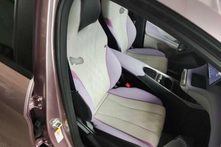 Used BYD Dolphin 2023 420 km Free Version Right Front Seat