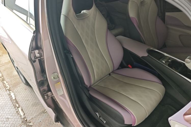 Used BYD Dolphin 2023 420 km Fashion Edition Right Front Seat