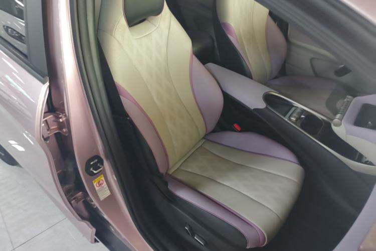Used BYD Dolphin 2023 420 km Fashion Edition Right Front Seat
