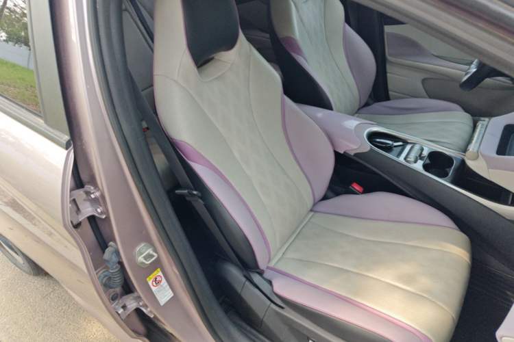 Used BYD Dolphin 2023 420 km Fashion Edition Right Front Seat
