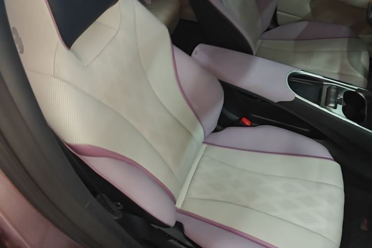 Used BYD Dolphin 2023 420 km Fashion Edition Right Front Seat