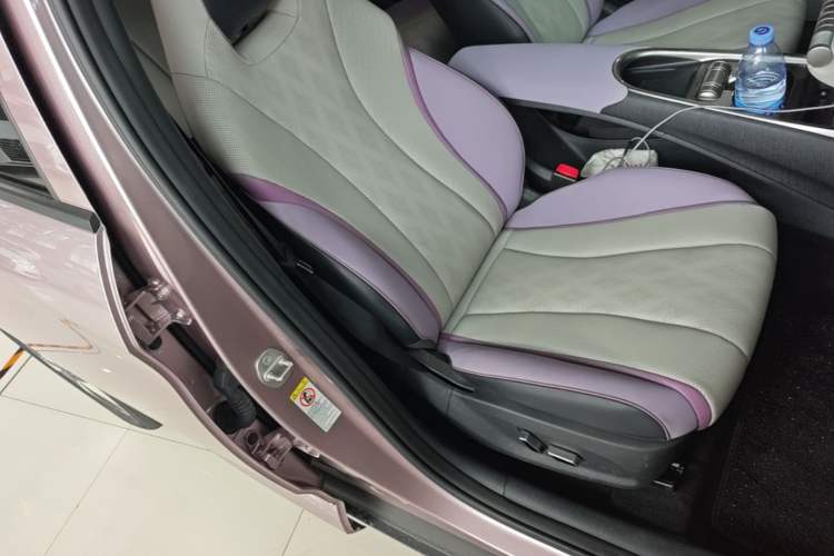 Used BYD Dolphin 2023 420 km Fashion Edition Right Front Seat