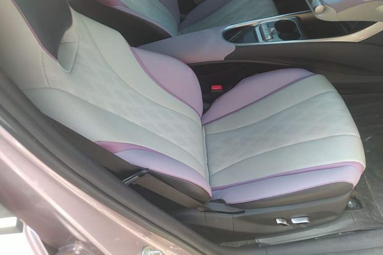 Used BYD Dolphin 2023 420 km Fashion Edition Right Front Seat