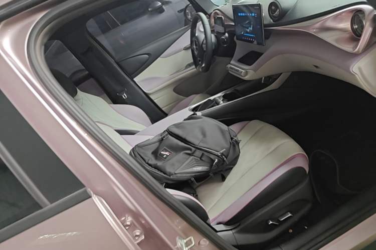 Used BYD Dolphin 2023 420 km Fashion Edition Right Front Seat