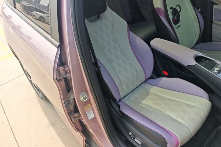 Used BYD Dolphin 2023 420 km Fashion Edition Right Front Seat
