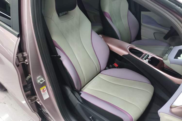Used BYD Dolphin 2023 420 km Fashion Edition Right Front Seat
